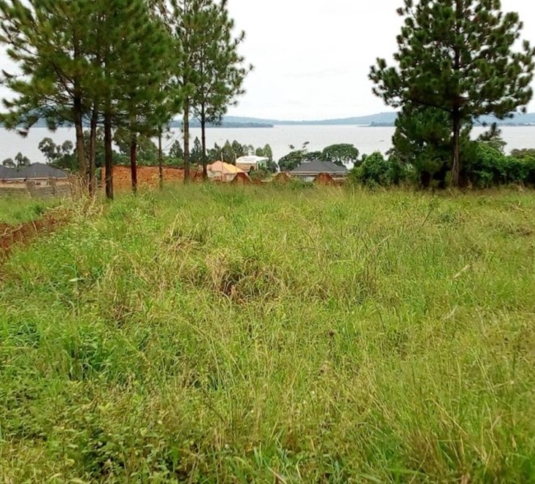 100 × 150 ft For rent