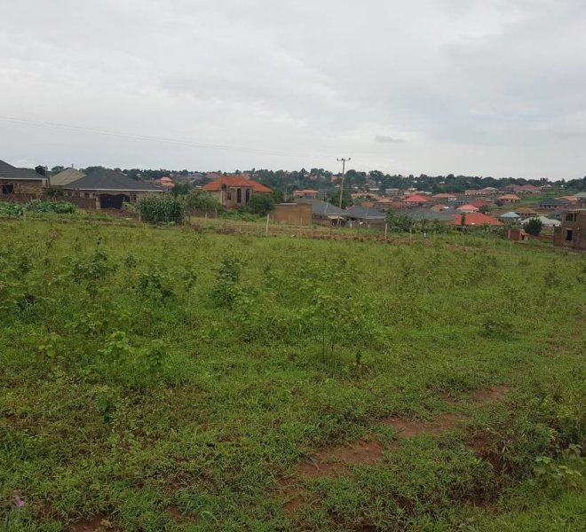 100×100 ft